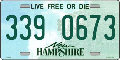 NH license plate 3390673