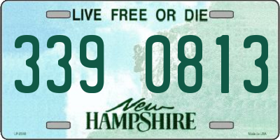 NH license plate 3390813