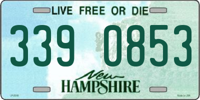 NH license plate 3390853