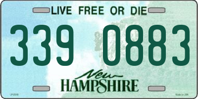 NH license plate 3390883
