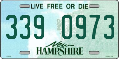 NH license plate 3390973