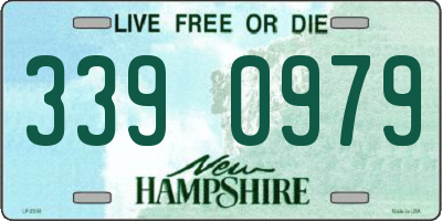 NH license plate 3390979