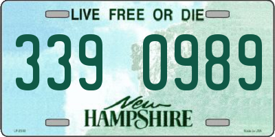 NH license plate 3390989