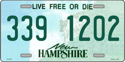NH license plate 3391202