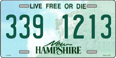 NH license plate 3391213