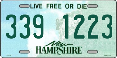 NH license plate 3391223