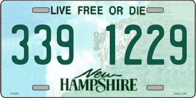 NH license plate 3391229