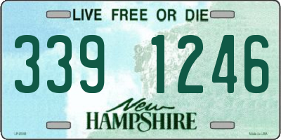 NH license plate 3391246