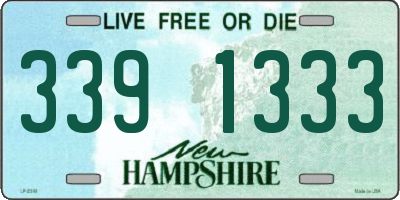 NH license plate 3391333