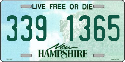 NH license plate 3391365