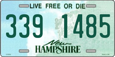 NH license plate 3391485