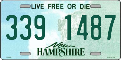 NH license plate 3391487
