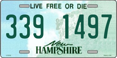 NH license plate 3391497
