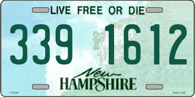 NH license plate 3391612