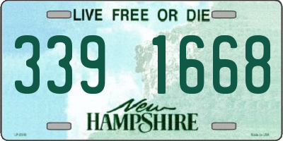 NH license plate 3391668