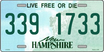 NH license plate 3391733