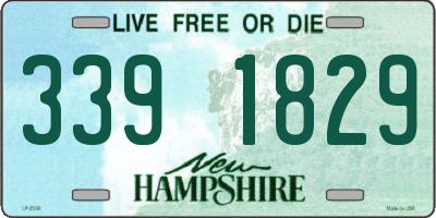 NH license plate 3391829
