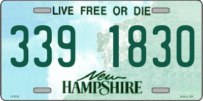 NH license plate 3391830