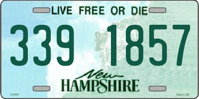 NH license plate 3391857