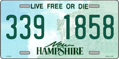 NH license plate 3391858