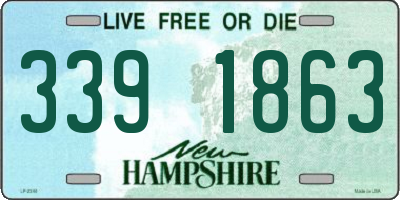 NH license plate 3391863