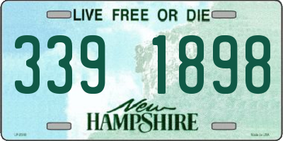 NH license plate 3391898