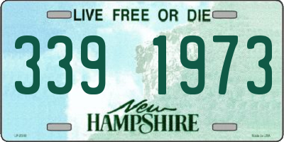 NH license plate 3391973