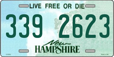 NH license plate 3392623