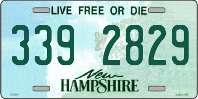 NH license plate 3392829