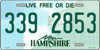 NH license plate 3392853