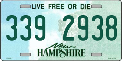NH license plate 3392938