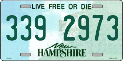 NH license plate 3392973