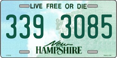 NH license plate 3393085