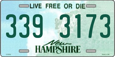 NH license plate 3393173