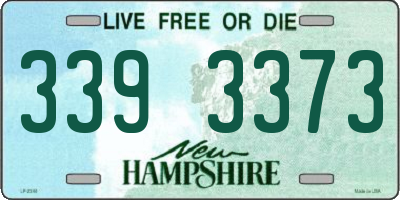 NH license plate 3393373