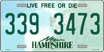 NH license plate 3393473