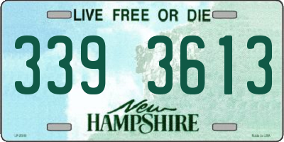 NH license plate 3393613