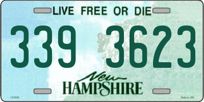 NH license plate 3393623