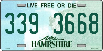 NH license plate 3393668