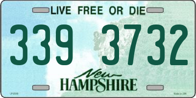 NH license plate 3393732