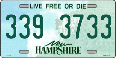 NH license plate 3393733