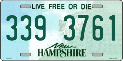 NH license plate 3393761
