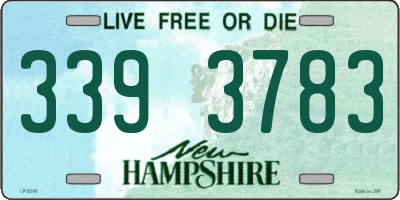 NH license plate 3393783