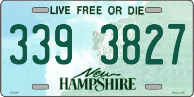 NH license plate 3393827