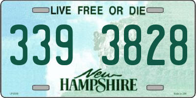 NH license plate 3393828