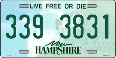 NH license plate 3393831