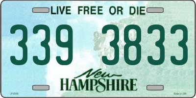 NH license plate 3393833