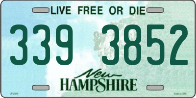NH license plate 3393852