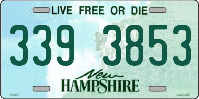 NH license plate 3393853