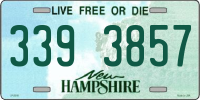 NH license plate 3393857